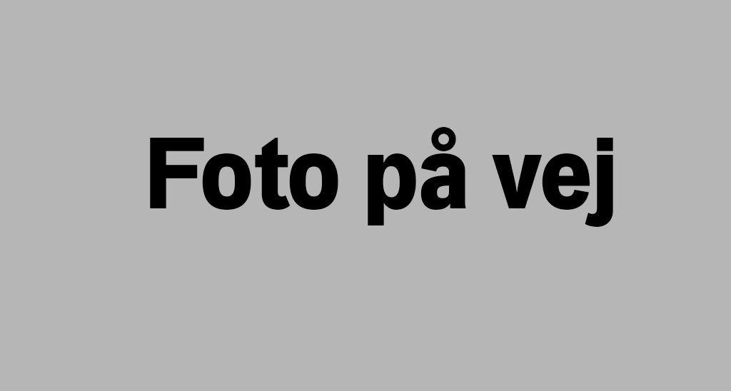Åbner i ny fane